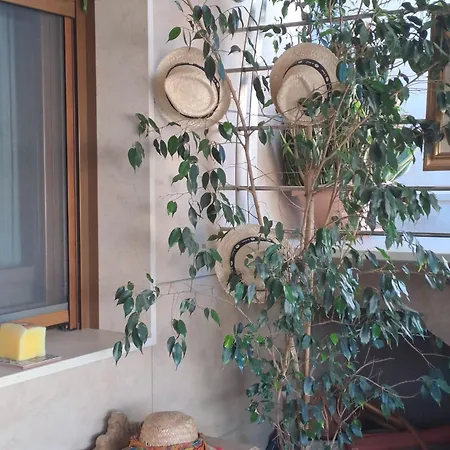 بيت للعطل Casa Con Piscina Y Gimnasio Privados Benejuzar