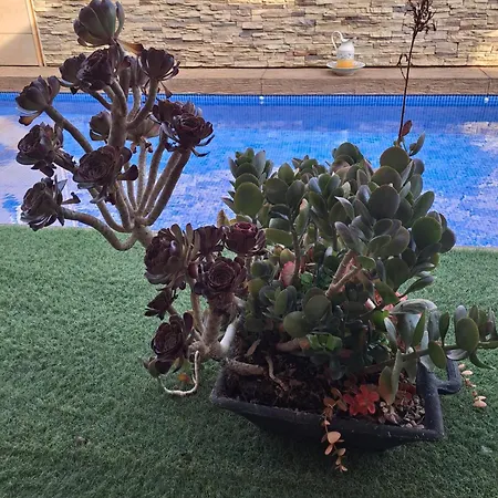 Casa Con Piscina Y Gimnasio Privados